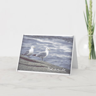 Seaside Seagulls Greeting Card