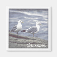 Seaside Seagulls Magnet
