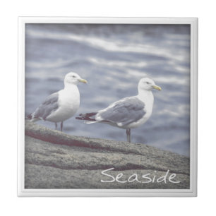 Seaside Seagulls Tile