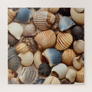 Seaside Seashells Puzzle