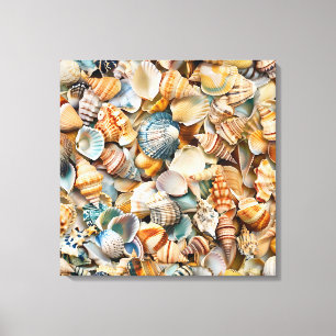 Seaside Seashells Wrapped Canvas Art