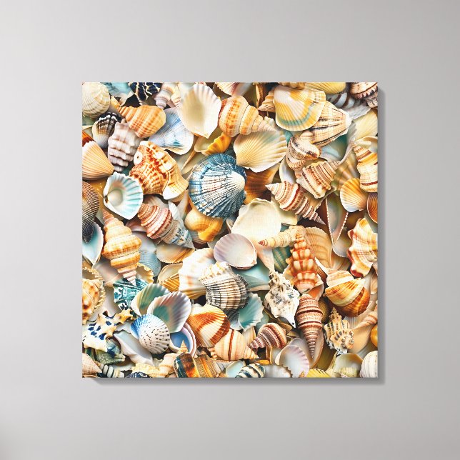 Seaside Seashells Wrapped Canvas Art (Front)