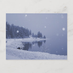 Seaside Snowfall Postcard