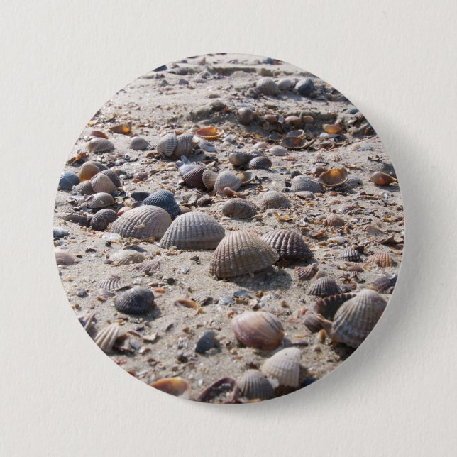 Seaside views - shells 3 inch round button (Front)