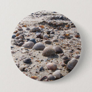 Seaside views - shells 3 inch round button