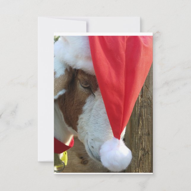 "Season Goat-ings!" A Holiday Greeting Card (Front)