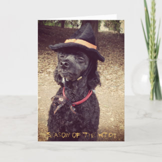 Season of the Witch Card
