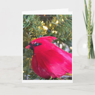 ***SEASON TO BE JOLLY*** & THINK OF YOU HOLIDAY CARD