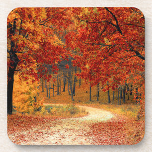 Seasonal colors of autumn coaster