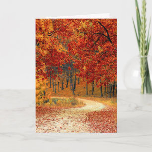 Seasonal colours of Autumn Card