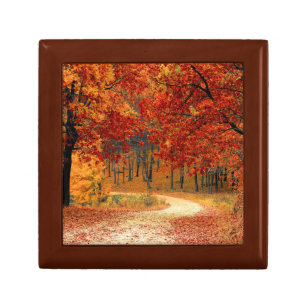 Seasonal colours of Autumn Gift Box
