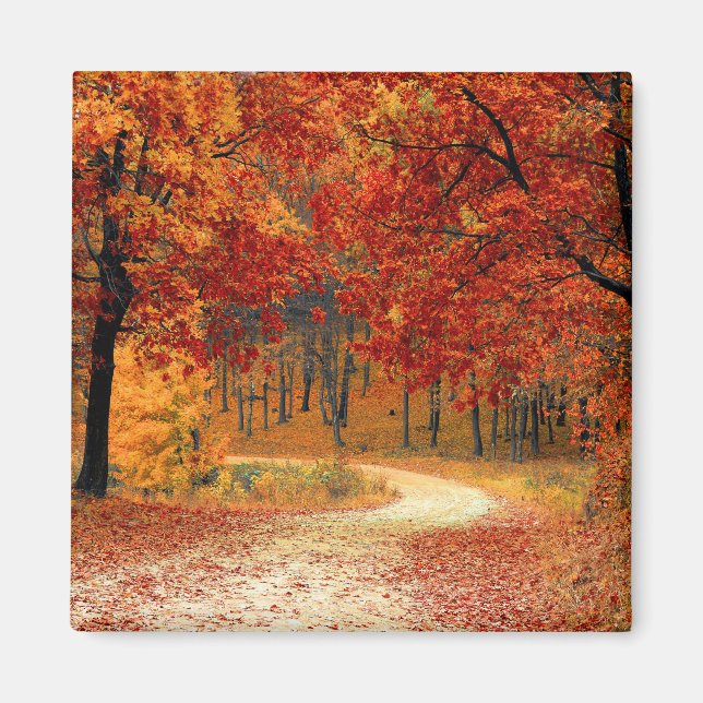 Seasonal colours of Autumn Magnet (Front)