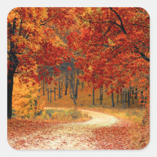 Seasonal colours of Autumn Square Sticker