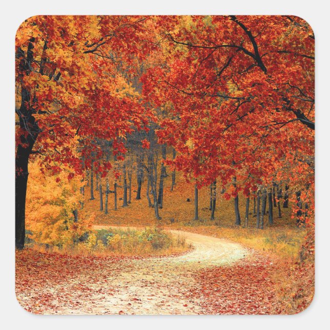 Seasonal colours of Autumn Square Sticker (Front)