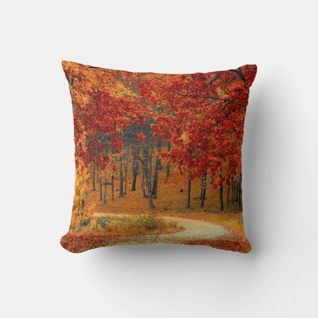Seasonal colours of Autumn Throw Pillow (Front)