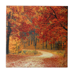Seasonal colours of Autumn Tile