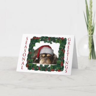 SEASONAL GREETINGS HOLIDAY CARD