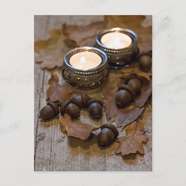 Seasonal rustic autmnal acorns leaves still life postcard (Front)
