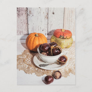 Seasonal rustic fall chestnut & pumpkin still life postcard
