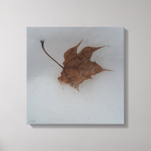 Seasonal Transitions Stretched Canvas Print