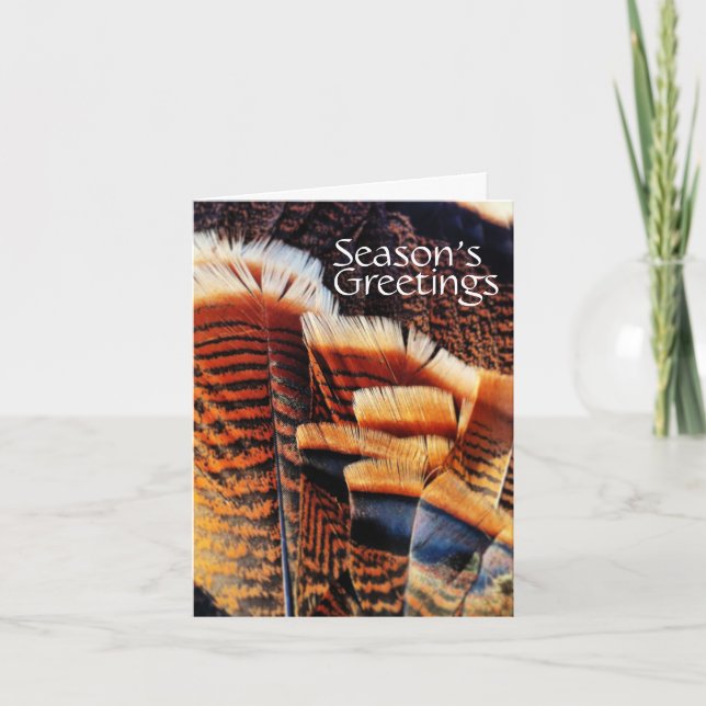 Seasonal Turkey Tail Feathers Generic Holiday Card (Front)