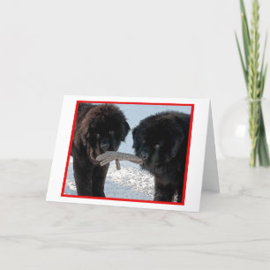 Season's Best..Blank Holiday Card