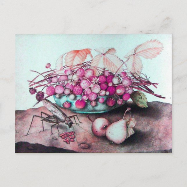 SEASON'S FRUITS 3 POSTCARD (Front)