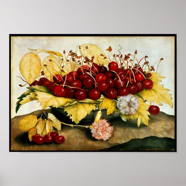 SEASON'S FRUITS / CHERRIES AND CARNATIONS POSTER (Front)