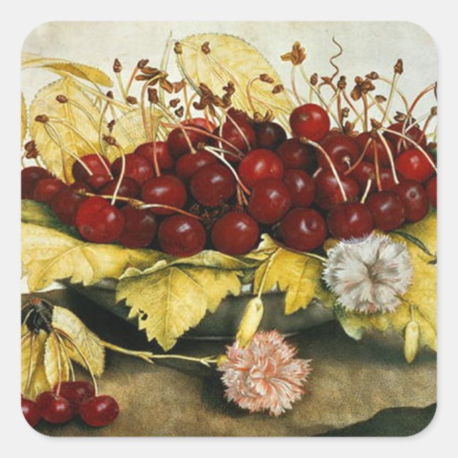 SEASON'S FRUITS CHERRIES AND CARNATIONS Still Life Square Sticker (Front)