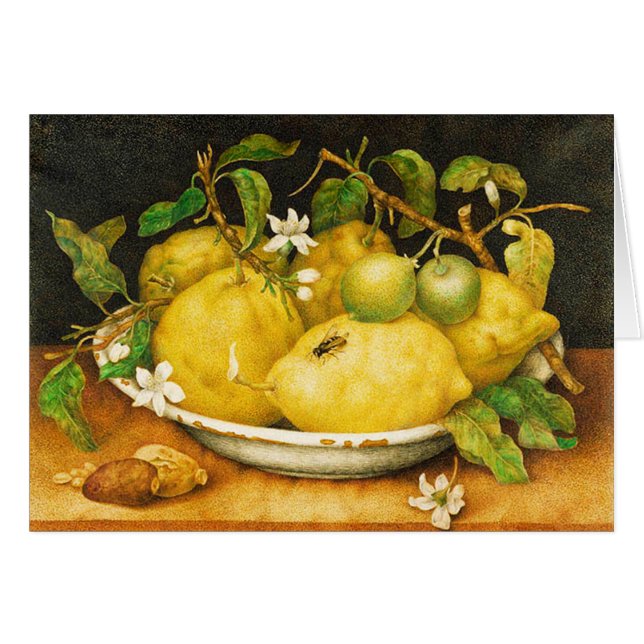 SEASON'S FRUITS LEMONS AND WHITE FLOWERS (Front Horizontal)