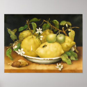 SEASON'S FRUITS LEMONS AND WHITE FLOWERS POSTER