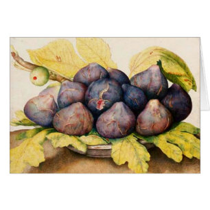 SEASON'S FRUITS / PLATE WITH FIGS AND GREEN LEAVES