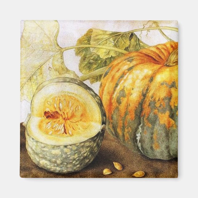 SEASON'S FRUITS  / PUMPKINS MAGNET (Front)