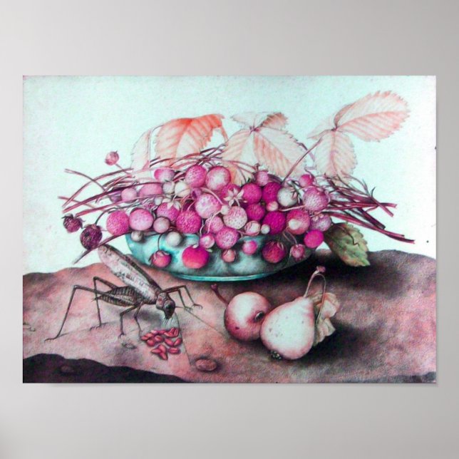 SEASON'S FRUITS / STRAWBERRIES AND PEARS POSTER (Front)