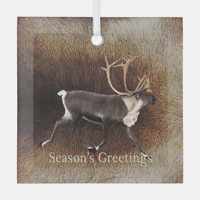 Season's Greeting - Bull Caribou (Reindeer) Glass Ornament (Front)