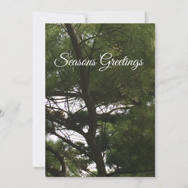 Seasons Greeting Holiday Card with Fir Tree (Front)