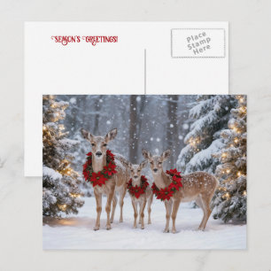 Seasons Greeting Holiday Deer Wreaths Postcard
