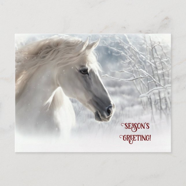 Season's Greeting White Horse and Snow Holiday Postcard (Front)