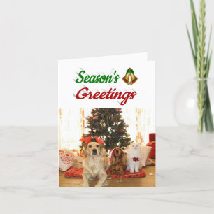 Seasons Greetings Bells Christmas photo script Holiday Card