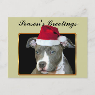 Season's Greetings Blue pitbull puppy postcard