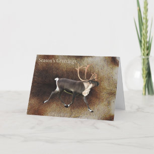 Season's Greetings - Bull Caribou (Reindeer) Holiday Card