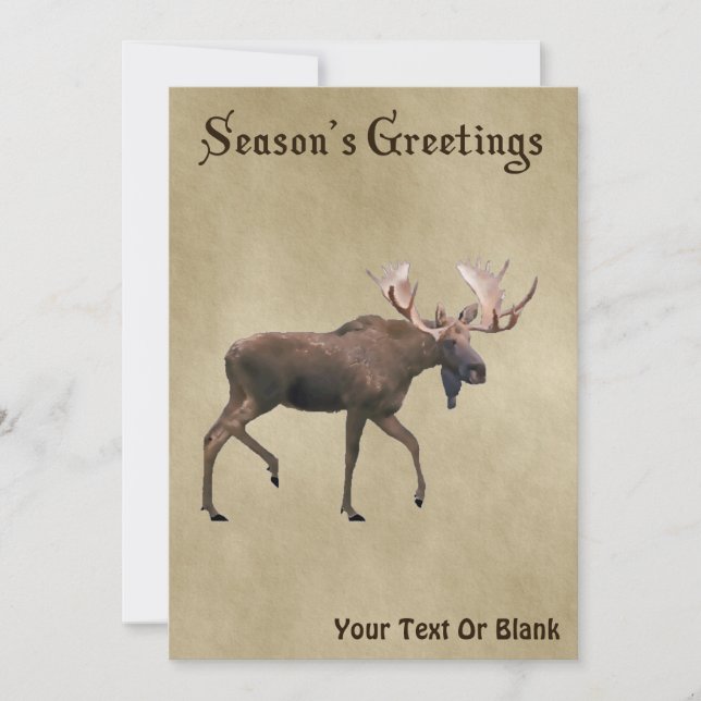 Season's Greetings - Bull Moose On Old Paper (Front)