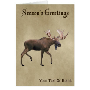 Season's Greetings - Bull Moose On Old Paper