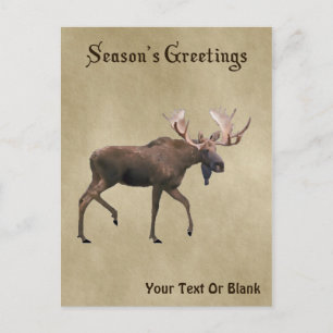 Season's Greetings - Bull Moose On Old Paper Postcard