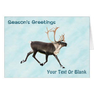 Season's Greetings - Caribou (Reindeer) On Snow
