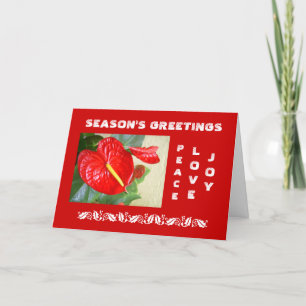 Season's Greetings Christmas Card