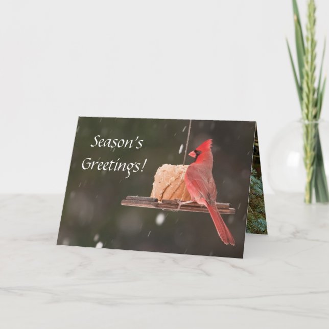 Season's Greetings! Christmas Cards (Front)