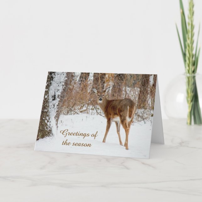 Seasons Greetings Christmas Whitetail Deer Card (Front)