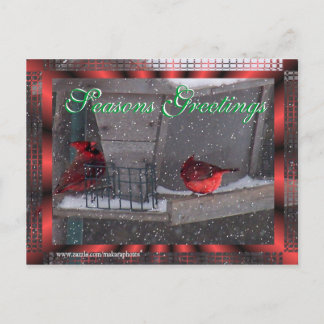 Seasons Greetings-customize Holiday Postcard
