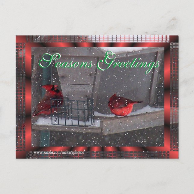 Seasons Greetings-customize Holiday Postcard (Front)